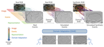 DA4Event: Towards Bridging the Sim-to-Real Gap for Event Cameras Using Domain Adaptation